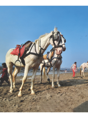 Aniket Deshmukh, Bound Yet Free, 2025