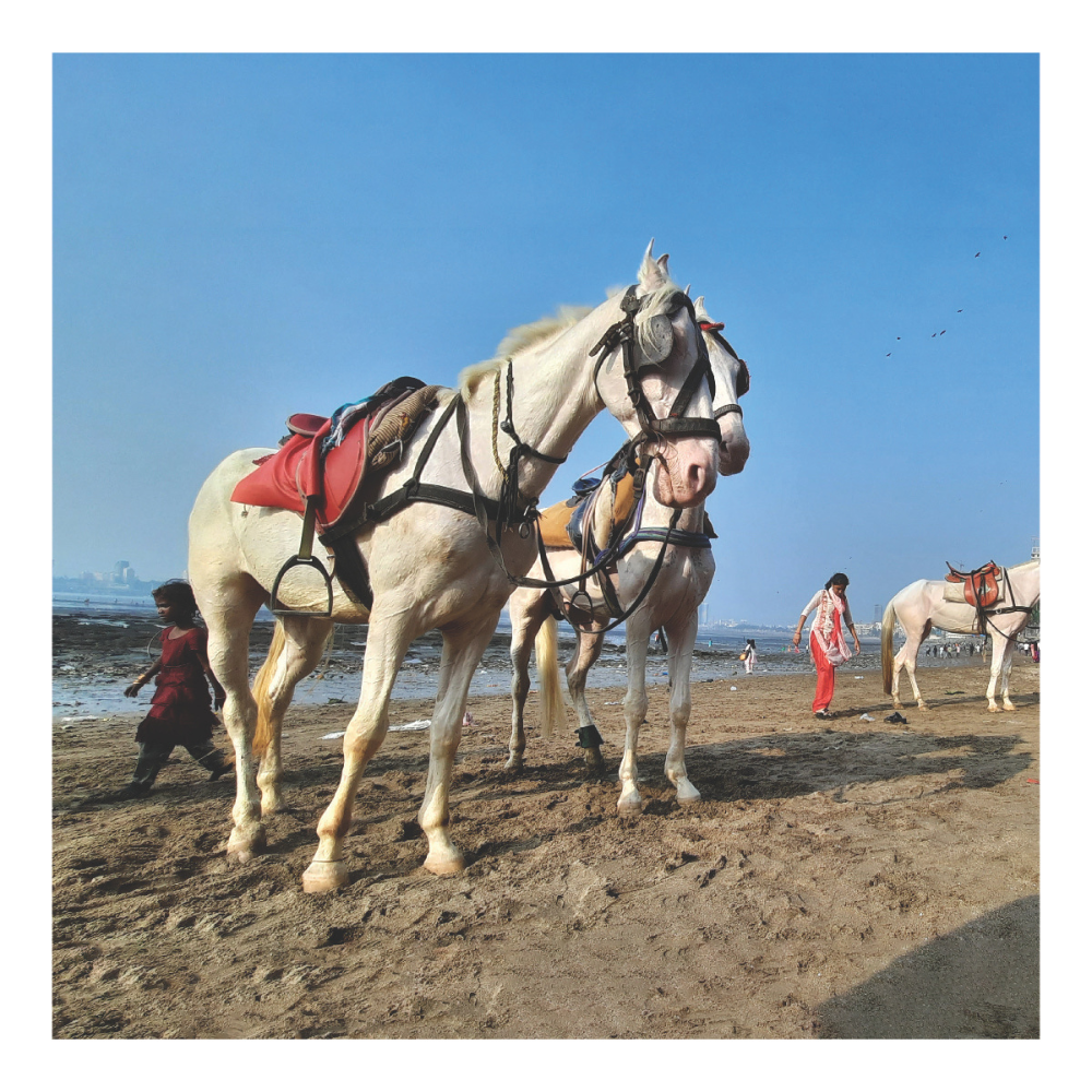 Aniket Deshmukh, Bound Yet Free, 2025