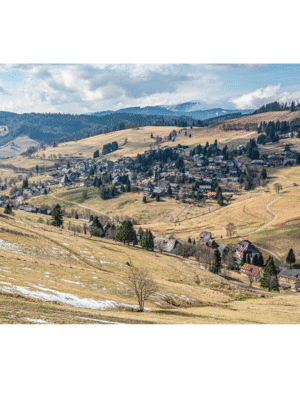 Tod Jones, Todtnauberg Landscape