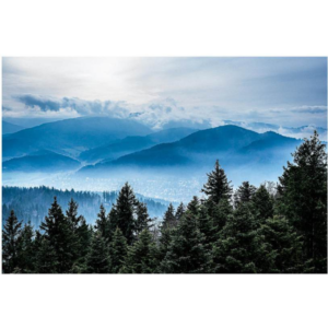 Tod Jones, Mystic Blue – Freiburg