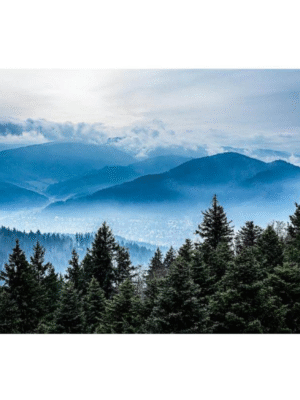 Tod Jones, Mystic Blue – Freiburg