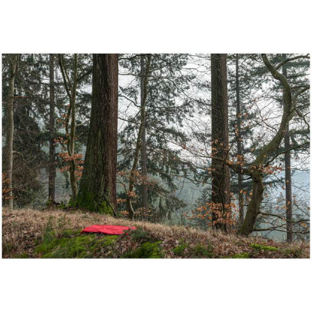 Tod Jones, The Red Studio and the Urban Landscape WLV, L, 2023