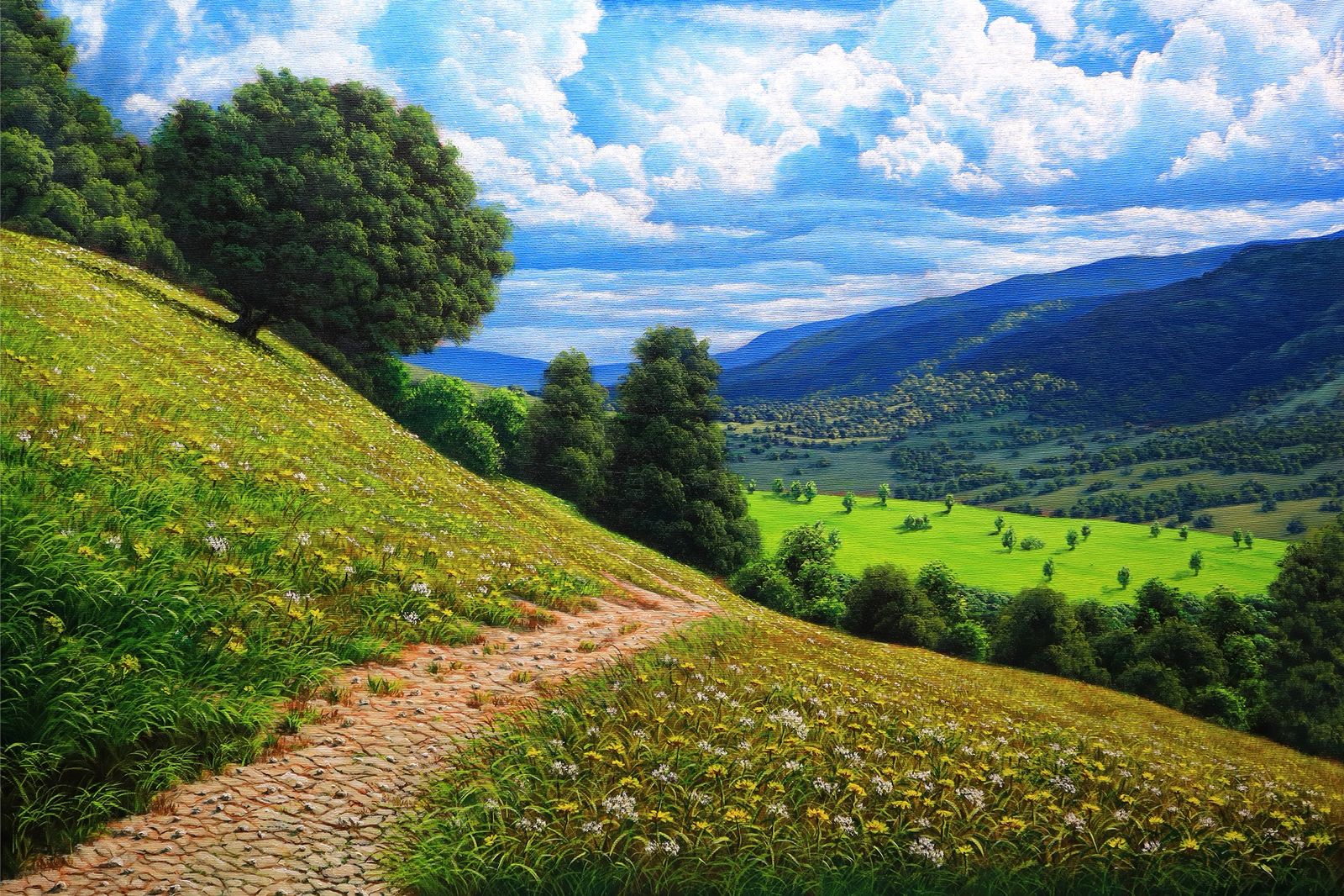 WhatsApp Image 2026-02-19 at 3.41.55 PM