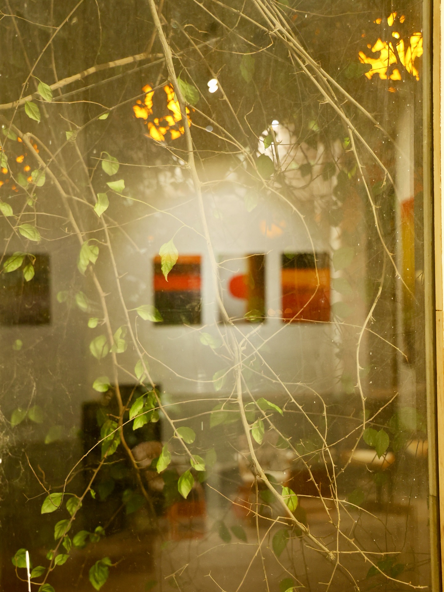 arturaspaces_1765194786_3783050515966689609_70774510056 (1)