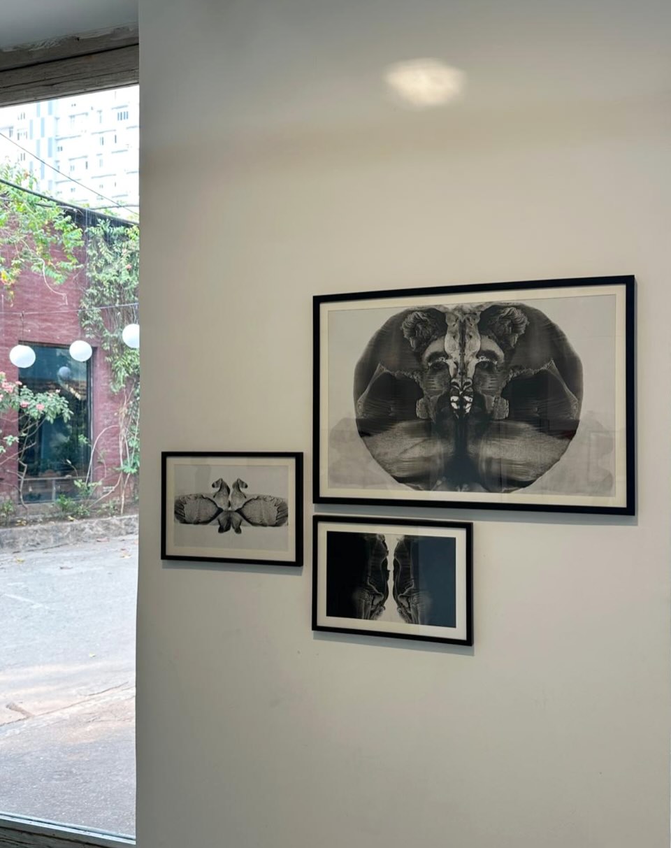 arturaspaces_1771493249_3835885133828565113_70774510056