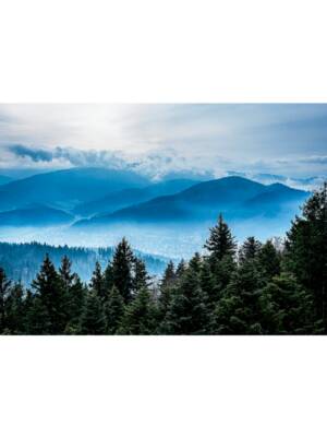 Mystic Blue Freiburg