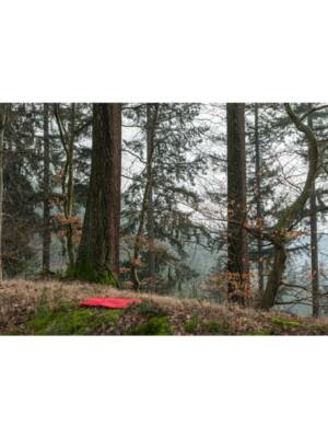 The Red Studio and the Urban Landscape