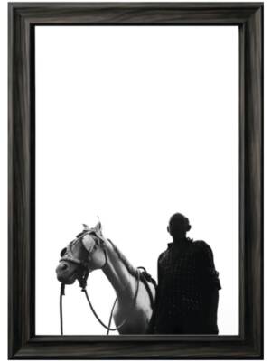 Bridled Dreams
