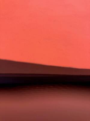 Hiding in the layers of a coral sunset
