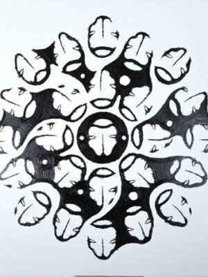 Plural -II